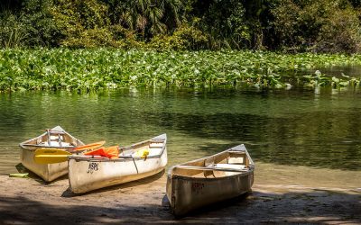 Choosing the Right Canoe: A Beginner’s Guide